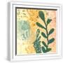 White Frame