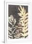 Gramercy White