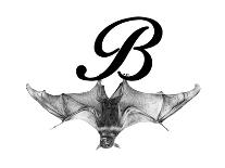 B is for Bat-Stacy Hsu-Art Print