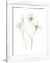 Gramercy White