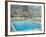 Stade Nautique Rainier III (Huge Public Swimming Pool), Condamine, Monaco-Ethel Davies-Framed Photographic Print