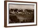 Brown Frame