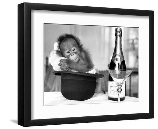 Premium Photographic Print, , large