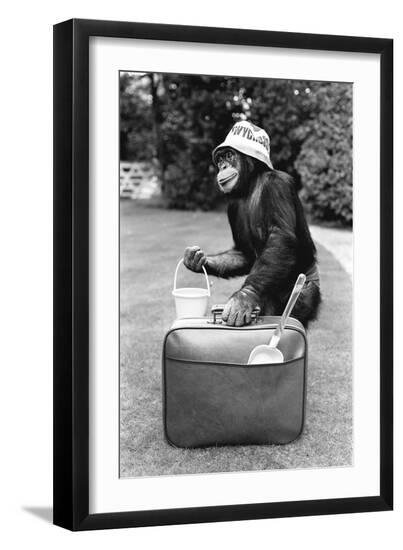 Premium Photographic Print, , large