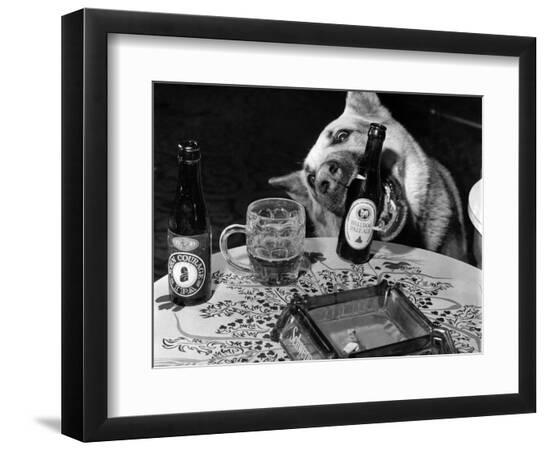 Photographic Print, , large