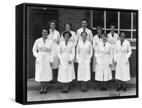 Staff from Schonhuts Butchery Factory, Rawmarsh, South Yorkshire, 1955-Michael Walters-Framed Stretched Canvas