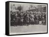 Staff Officers of the Indian Army, Forming Part of the Indian Contingent for the Jubilee Procession-null-Framed Stretched Canvas