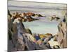 Staffa and Rhum from Iona-Francis Campbell Boileau Cadell-Mounted Giclee Print