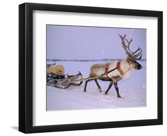 Premium Photographic Print, , large