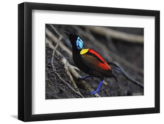 Photographic Print, , large
