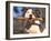 Staffordshire Bull Terrier Carrying Stick in Its Mouth-Adriano Bacchella-Framed Photographic Print