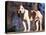 Staffordshire Bull Terrier Portrait-Adriano Bacchella-Stretched Canvas