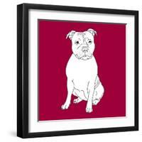 Staffordshire Bull Terrier-Anna Nyberg-Framed Art Print