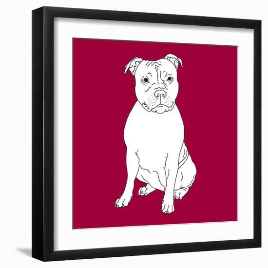 Staffordshire Bull Terrier-Anna Nyberg-Framed Art Print