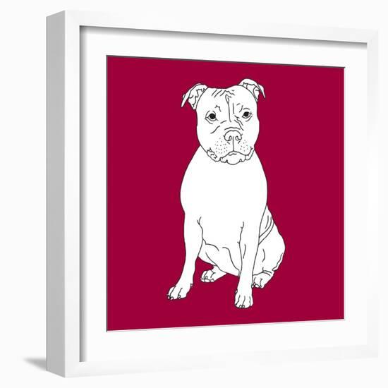Staffordshire Bull Terrier-Anna Nyberg-Framed Art Print
