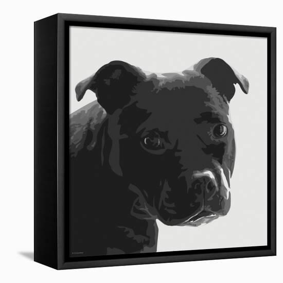 Staffordshire Bull-Emily Burrowes-Framed Stretched Canvas