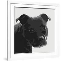 Staffordshire Bull-Emily Burrowes-Framed Art Print