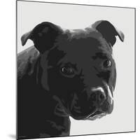 Staffordshire Bull-Emily Burrowes-Mounted Art Print