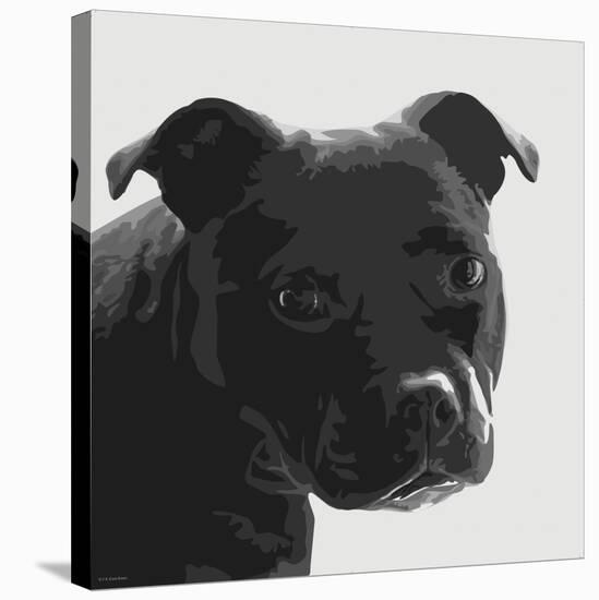 Staffordshire Bull-Emily Burrowes-Stretched Canvas