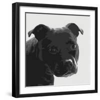 Staffordshire Bull-Emily Burrowes-Framed Art Print