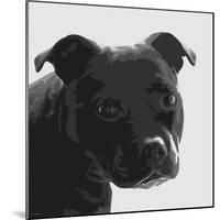 Staffordshire Bull-Emily Burrowes-Mounted Art Print