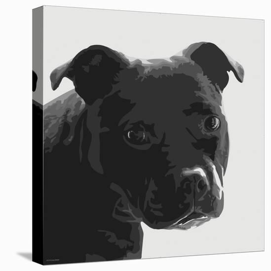 Staffordshire Bull-Emily Burrowes-Stretched Canvas