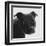 Staffordshire Bull-Emily Burrowes-Framed Art Print