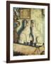 Staffordshire Dogs-Dora Carrington-Framed Giclee Print