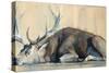 Stag, 2014-Mark Adlington-Stretched Canvas