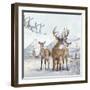 Stag And Females-Clare Davis London-Framed Giclee Print