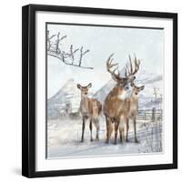 Stag And Females-Clare Davis London-Framed Giclee Print