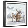 Stag And Females-Clare Davis London-Framed Giclee Print