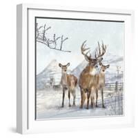 Stag And Females-Clare Davis London-Framed Giclee Print