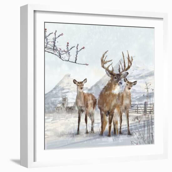 Stag And Females-Clare Davis London-Framed Giclee Print