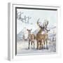 Stag And Females-Clare Davis London-Framed Giclee Print