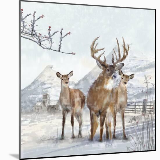 Stag And Females-Clare Davis London-Mounted Giclee Print