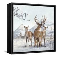 Stag And Females-Clare Davis London-Framed Stretched Canvas