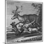 Stag and Hounds-null-Mounted Art Print