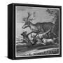 Stag and Hounds-null-Framed Stretched Canvas