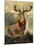 Stag At Bay-James Ford-Mounted Giclee Print