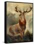 Stag At Bay-James Ford-Framed Stretched Canvas