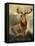 Stag At Bay-James Ford-Framed Stretched Canvas
