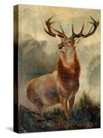 Stag At Bay-James Ford-Stretched Canvas