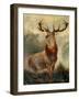 Stag At Bay-James Ford-Framed Giclee Print