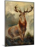 Stag At Bay-James Ford-Mounted Giclee Print