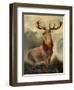 Stag At Bay-James Ford-Framed Giclee Print