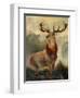 Stag At Bay-James Ford-Framed Giclee Print