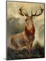 Stag At Bay-James Ford-Mounted Giclee Print