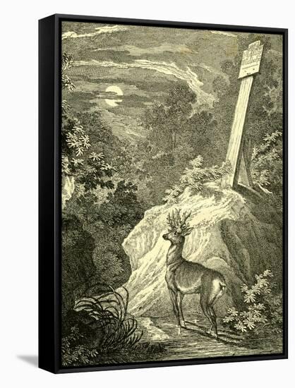 Stag Austria 1891-null-Framed Stretched Canvas