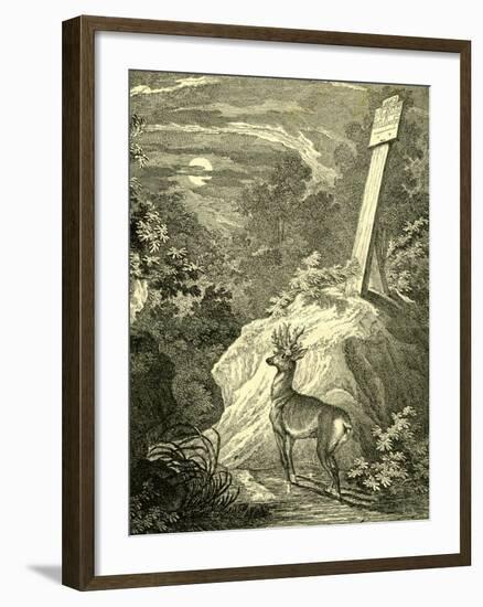 Stag Austria 1891-null-Framed Giclee Print